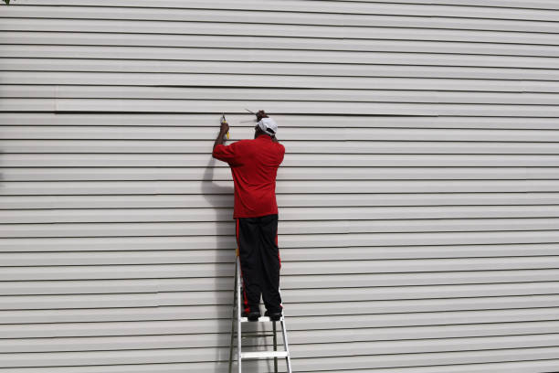 Best Siding Removal and Disposal  in Kendall, FL